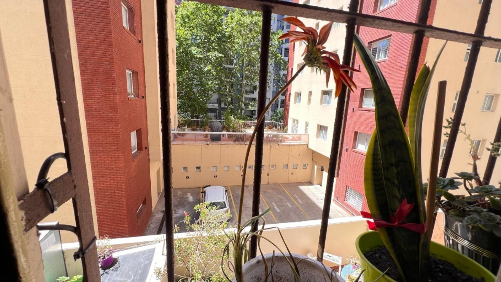 DEPARTAMENTO DE 2 AMB LATERAL